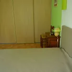 4 Pieces- Sur Ar000-021 *